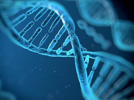 Understanding your DNA: A look at the role genetics play in determining your health, and how to use that knowledge to make informed decisions about your diet and lifestyle.